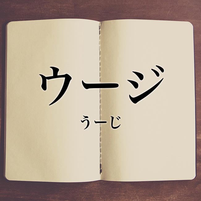 「ウージ」の意味とは？沖縄方言の使い方や例文を紹介！