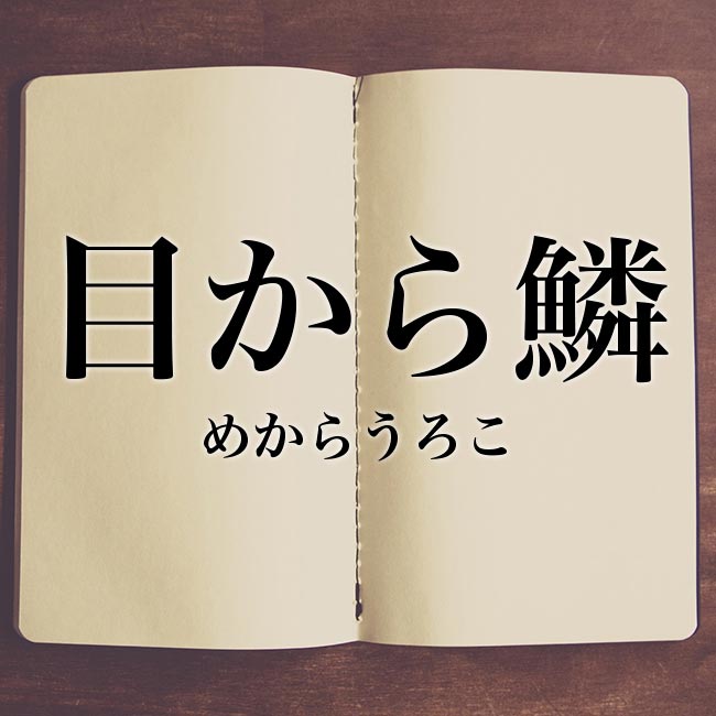 目から鱗