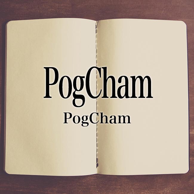 「PogCham」とは？意味や元ネタ！スラング