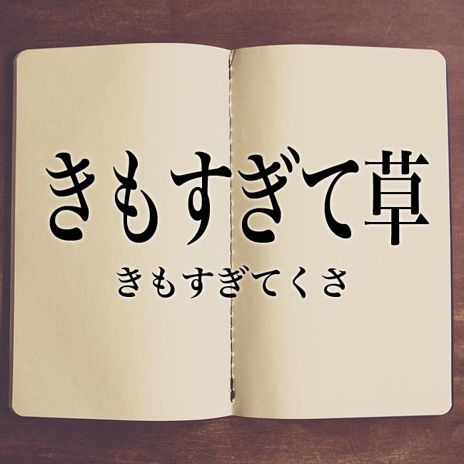 きもすぎて草 とは 意味 表現の使い方 Meaning Book