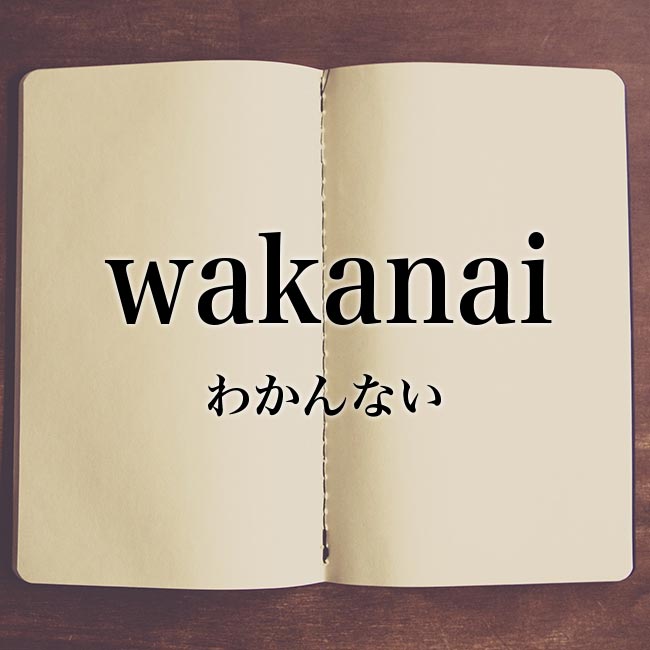 「wakanai」とは？意味！ローマ字から日本語を解説