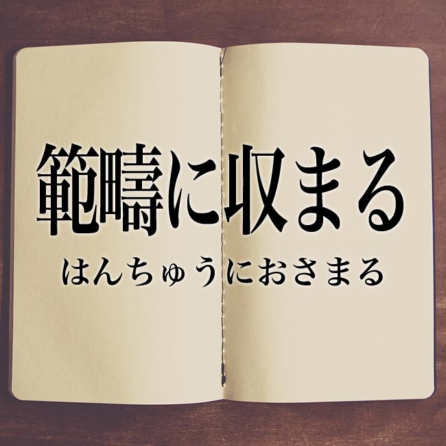 「範疇に収まる」とは？意味や言い換え！例文と解釈