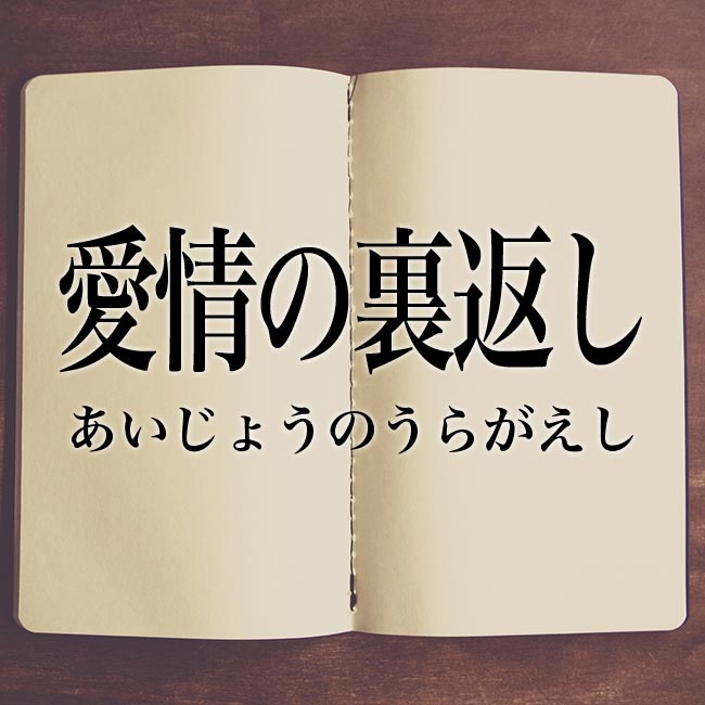 愛情の裏返し の意味とは 現代風に言い換え Meaning Book