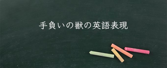 手負いの獣 meaning in english