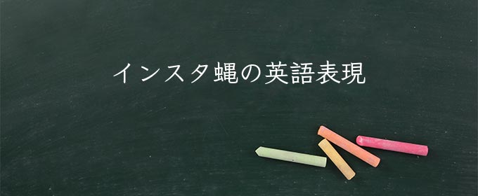 インスタ蝿 meaning in english