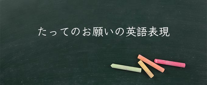 たってのお願い meaning in english