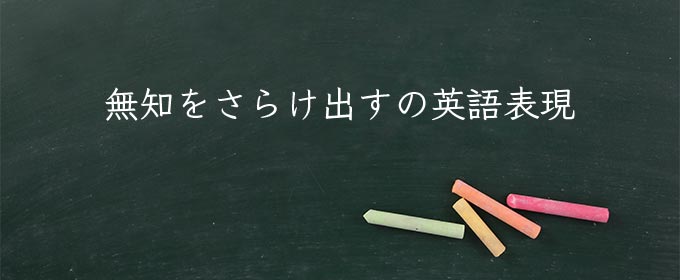 無知をさらけ出す meaning in english