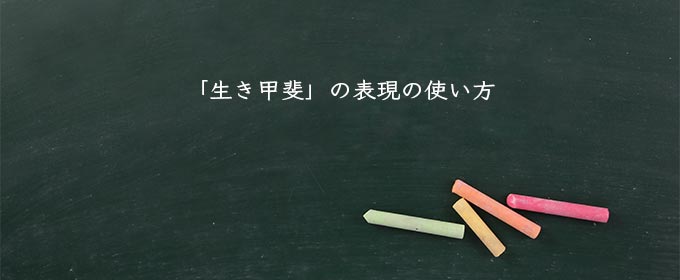 「生き甲斐」の表現の使い方