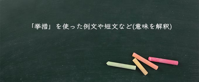 「挙措」を使った例文や短文など(意味を解釈)