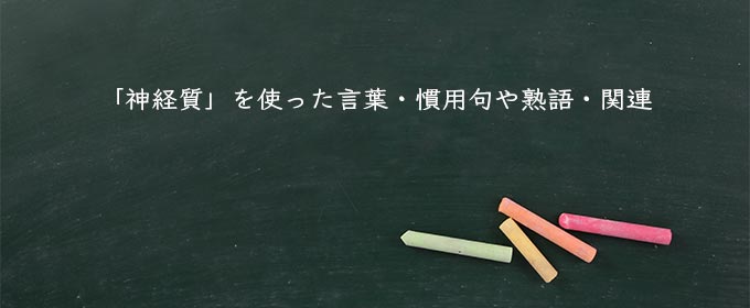 「神経質」を使った言葉・慣用句や熟語・関連