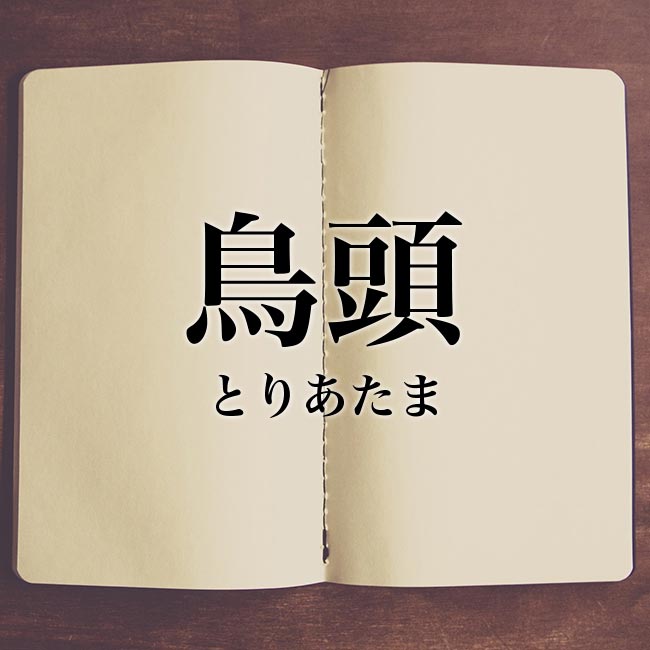 鳥頭